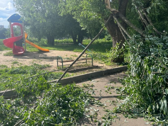 Добрый день,вчера упало дерево рядом с детской площадкой ,до..