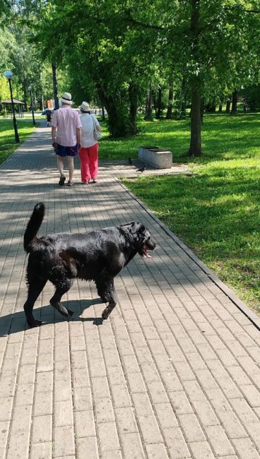 Чей парень гуляет на 2ой по..