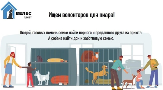 Приюту для бездомных животных "Велес" https://vk.com/club224622176 (Пушкинский..
