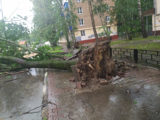 угол Новомытищенский и Щербакова возле Феста перекрыта..