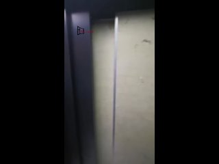 В ЖК "Митино парк" уже несколько лет люди боятся ездить в лифтах,..