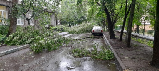 Вот ещё последствия 10-бального шторма в Химках…
Чуть ли не на..