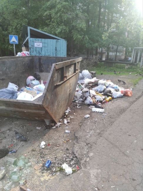 Главное в этой жизни – это выбрать правильный ракурс ☝🏼 (с)..