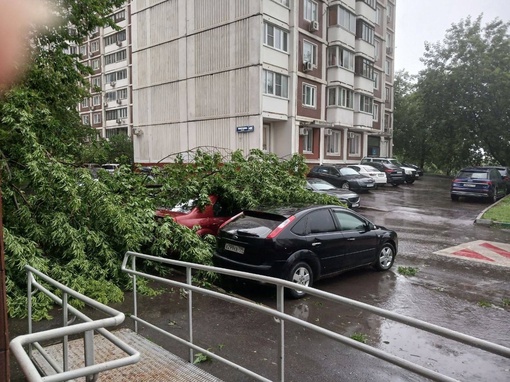 Сотрудники автосервисов озолотятся на кузовном ремонте после такого урагана:..