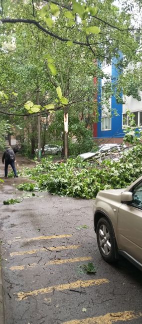 Вот ещё последствия 10-бального шторма в Химках…
Чуть ли не на..