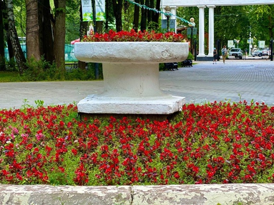 В этом году в парках Красногорска высадили много цветов...