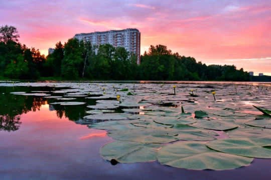 ДОБРЫЙ ВЕЧЕР ❤ БАЛАШИХА
Всем такого же настроения, как на фото..