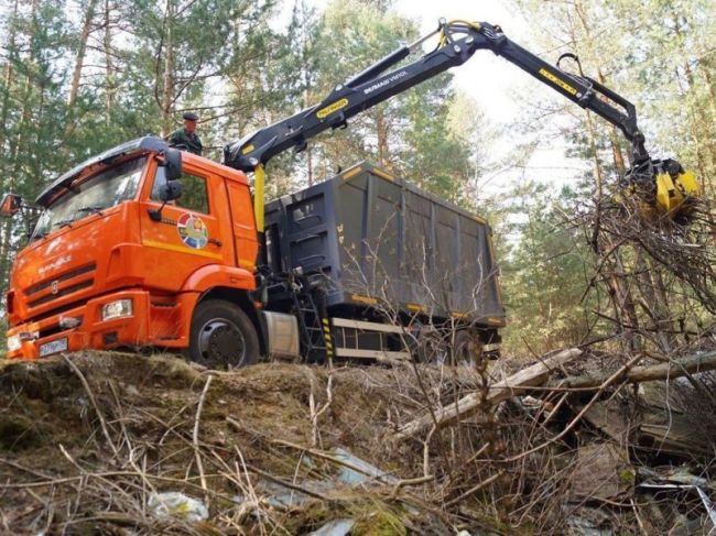 Почти 600 кубометров мусора вывезли из лесов Пушкинского округа с..