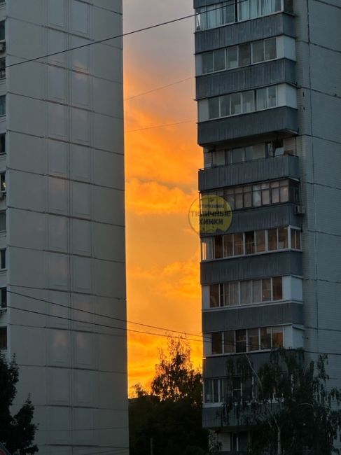 Закатный вечер на улице Панфилова..