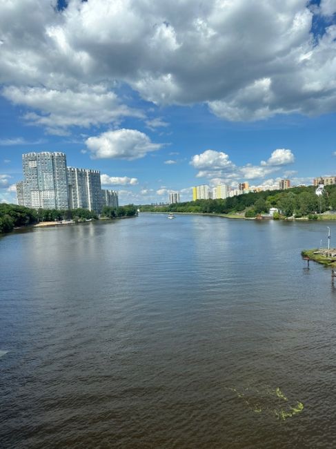 Канал в Химках как-то резко зацвёл 🐸

Разница на фотках всего..