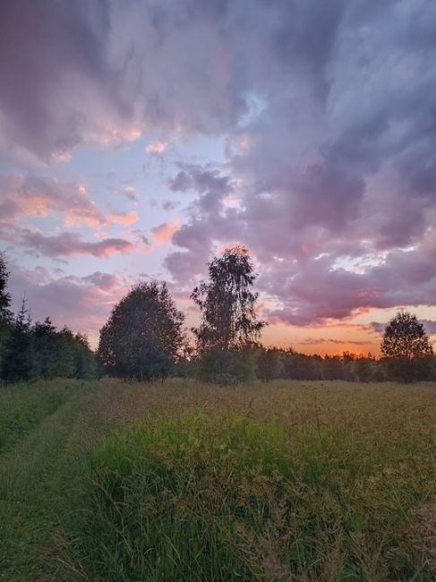 Летний вечер. 

📸 Елена..