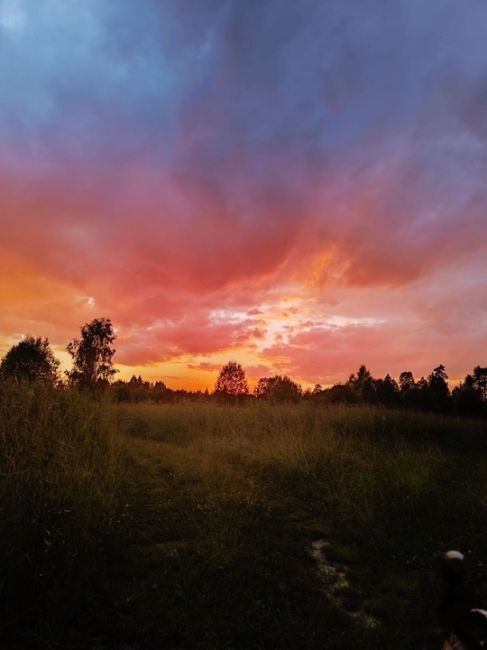 Летний вечер. 

📸 Елена..