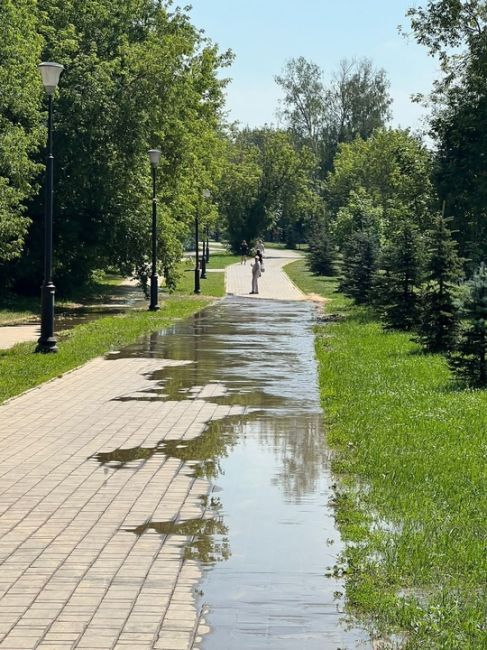 От подписчика:
__________
На улице Колхозной в Подрезково, являющейся..