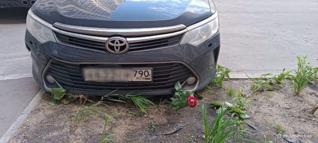 🤬Главное, что нашел где припарковаться.

А цветы. Они могут..