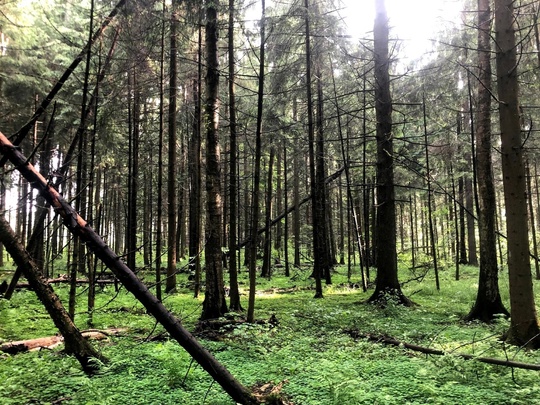 💢 А вы знали, что заниматься хайкингом можно прямо в..