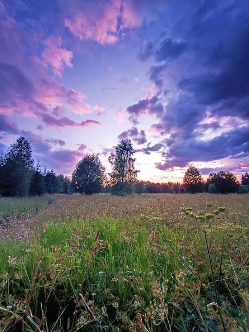 Летний вечер. 

📸 Елена..