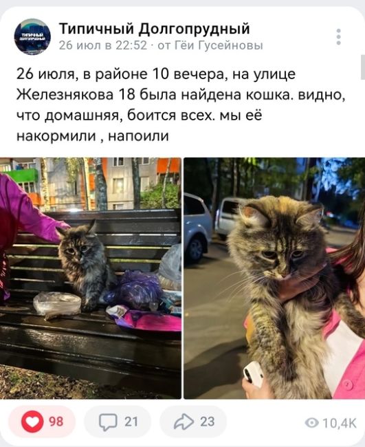 Найдена кошка ! Адрес : Железняково 18, видно, что кошка домашняя ,..