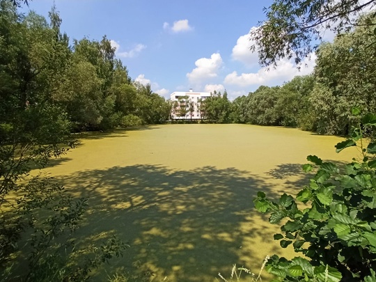 💦 Коломенские водоемы почистят и благоустроят

Водоемы г. о...