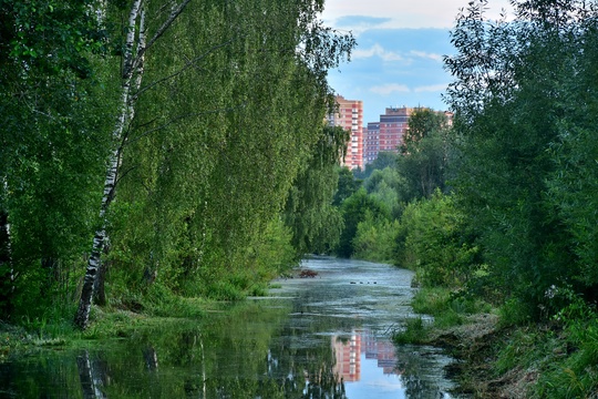 ДОБРЫЙ ВЕЧЕР ❤ БАЛАШИХА
Что хорошего сегодня у вас случилось?..