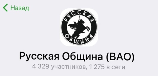 В Домодедово появился регулярный вечерний патруль в виде..