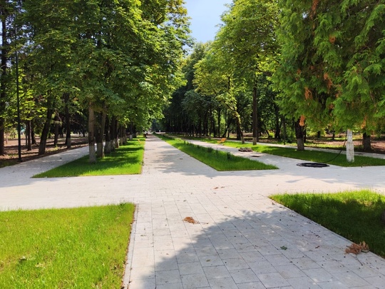 🌳🌳 В Минблагоустройства Подмосковья рассказали о завершении..