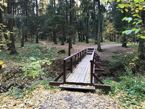 💡В лесопарке между девятым микрорайоном и МИЭТом появится..