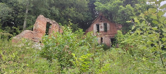 🌳🌲 Парк Келлера сохранят как памятник природы

В постановление..