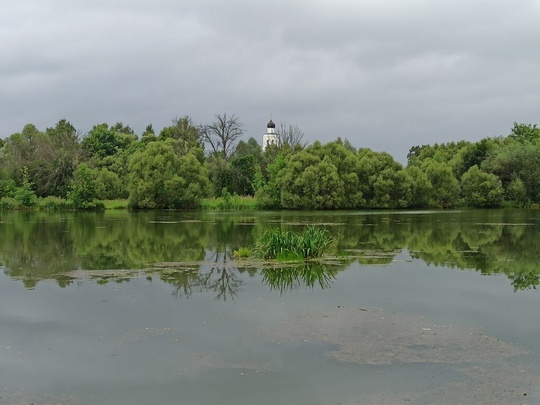 🌳🌲 Парк Келлера сохранят как памятник природы

В постановление..