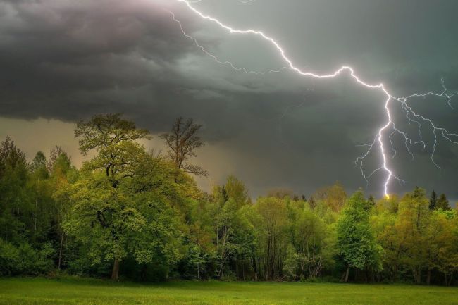 ⛈ Грозовые дожди накроют в ближайшие часы Подмосковье.
 
МЧС..