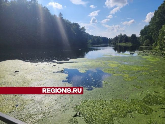 Аэротенки реконструируют на очистных сооружениях в Сухарево

На..