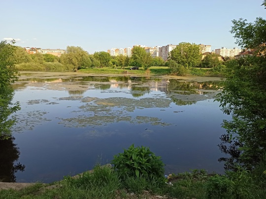 💦 Коломенские водоемы почистят и благоустроят

Водоемы г. о...