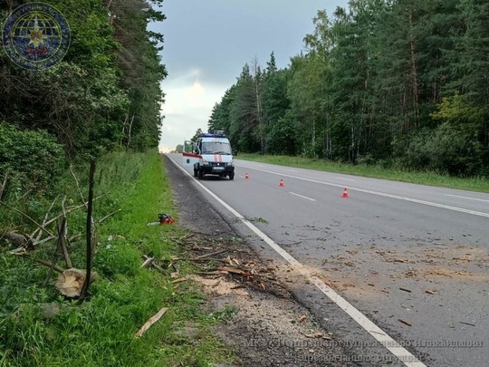 Дежурная смена ПСО МКУ «Центр ЧС» распилила и убрала аварийное..