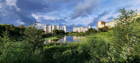 ПОСЛЕДНИЙ ВЕЧЕР ИЮЛЯ НА ТАЙНИНСКОМ..