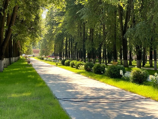 🌳🌳 В Минблагоустройства Подмосковья рассказали о завершении..