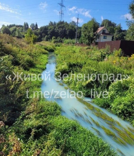 😱Недавно жители Химок заметили, что вода в реке Горетовка на..