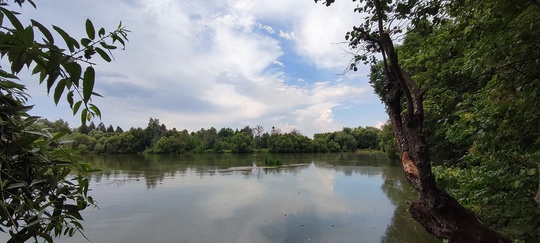 🌳🌲 Парк Келлера сохранят как памятник природы

В постановление..