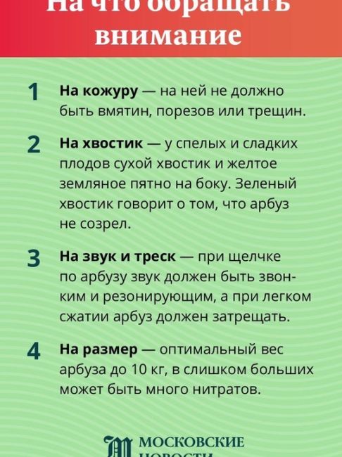 🍉Сезон арбузов в самом разгаре

А как выбрать тот самый  — в наших..