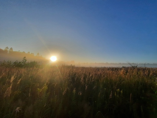 ЛЕТНЕЕ УТРО В БАЛАШИХЕ 🌞
[id655579860|Георгий Панченко] 
Камера не..