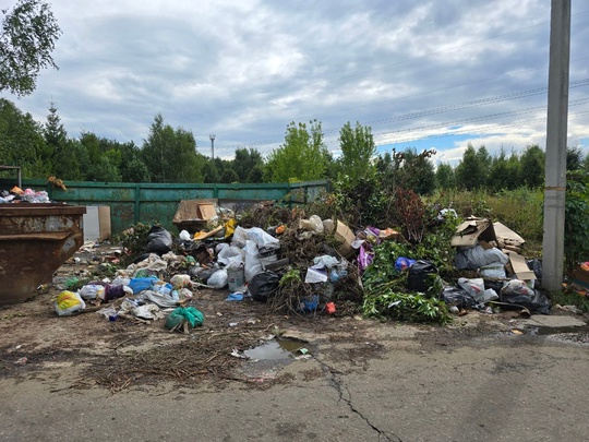 Просьба убрать мусор в водоохранной зоне, деревня Витенево...