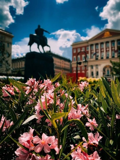 Тверская площадь

📸 Даша..