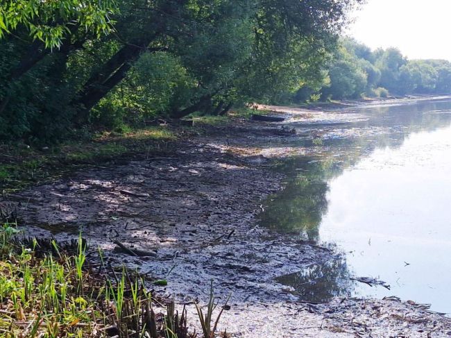 💧 В Москве-реке резко снизился уровень воды — сообщения от..