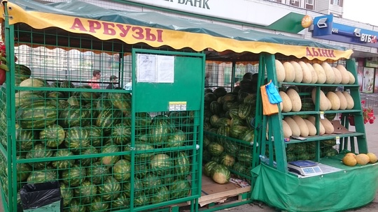 🍉 С 1 августа в Долгопрудном стартует официальный сезон
 продажи..