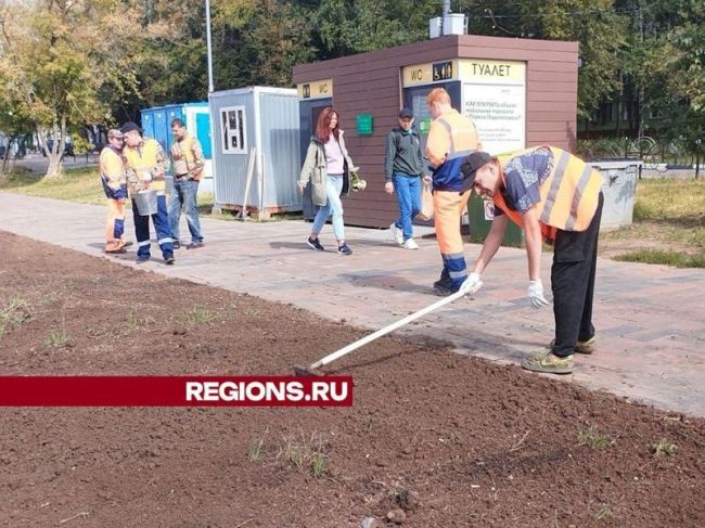 На набережной реки Серебрянки в Пушкино обновили и подсеяли..