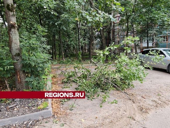 Опасные и сухие ветви деревьев возле жилых домов удалили в..