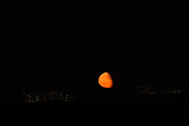 КРАСИВАЯ ЛУНА НАД БАЛАШИХОЙ 🌙
Главный (единственный? хД) плюс..