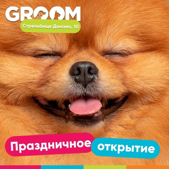 Бесплатно подстрижем когти 🐶, наклеим стразы💎, завяжем..