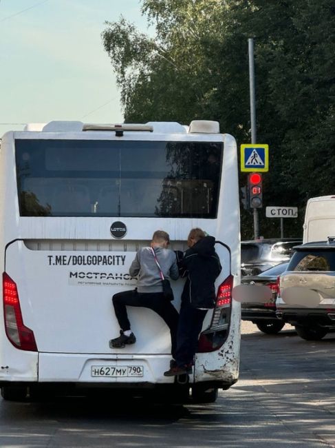 Каждый день видим такую картину в городе. Спрыгнули на остановке..