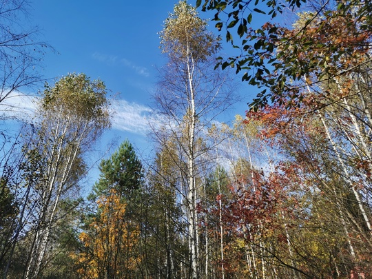 ОСЕННЯЯ 🍁 БАЛАШИХА 
[id20789099|Анна..