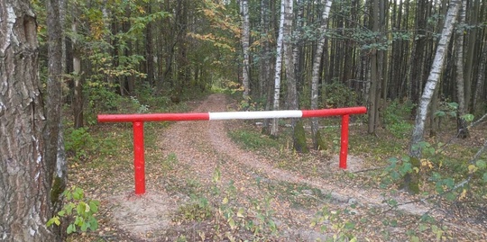 В Подольске установили шлагбаумы из-за высокой пожарной..