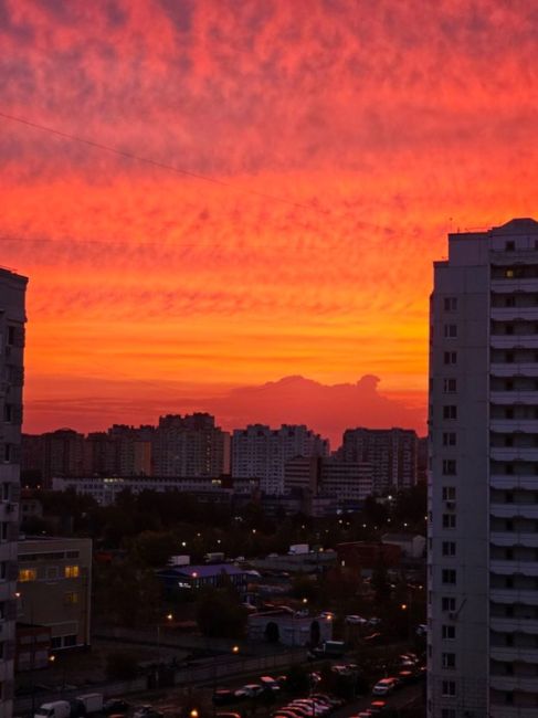 СЕНТЯБРЬСКИЙ РАССВЕТ
Алексеевская роща, сегодня 6 утра.
Фото -..